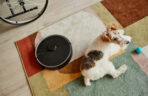 dog-relaxing-near-robot-vacuum-on-colorful-rug-web dog-relaxing-near-robot-vacuum-on-colorful-rug-web