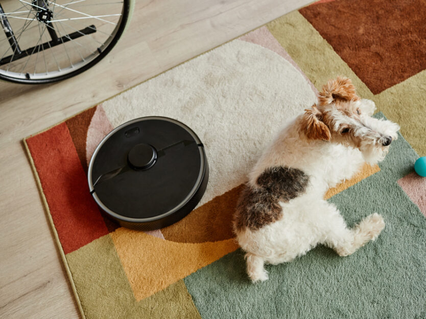 dog-relaxing-near-robot-vacuum-on-colorful-rug-web